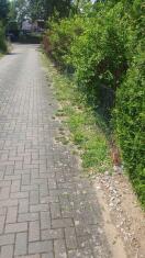 Foto: nicht fachgerechter Bankettbau nach Glasfaserkabel-Verlegung 